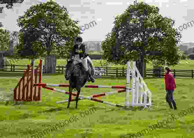 A Horse And Rider From Ballyloch Stables Competing In A Showjumping Event. The Horse Is Clearing A High Jump With Ease, Demonstrating Its Exceptional Athleticism And Training. The Rider Is Focused And Determined, Guiding The Horse With Precision. Lucky In Life: A Ballyloch Story (Tails From The Stables)