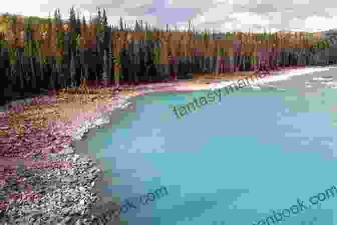 A Photo Of Lac Athabasca Lac/Athabasca Sonia Sanchez