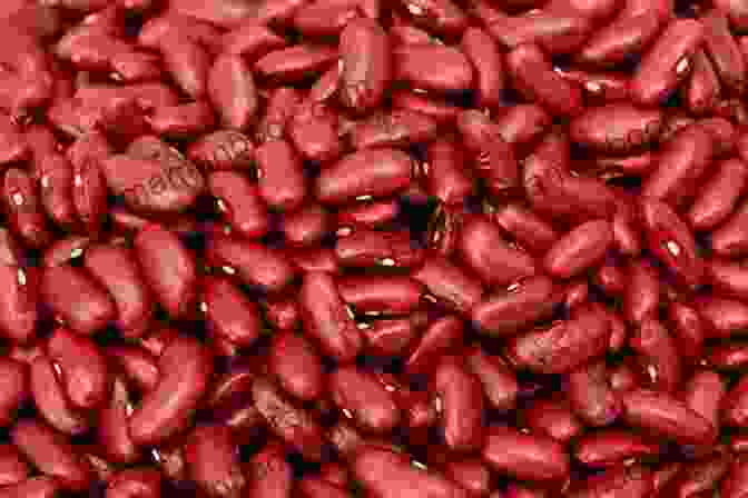 A Photo Of Two Kidney Beans Sitting Next To Each Other On A Plate Kidney Bean: A Love Story
