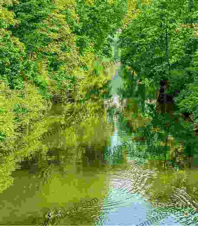 A Row Of Trees Lining A Riverbank, Their Lush Greenery Providing A Haven For Wildlife To Walk Amongst The Trees: Collected Haiku