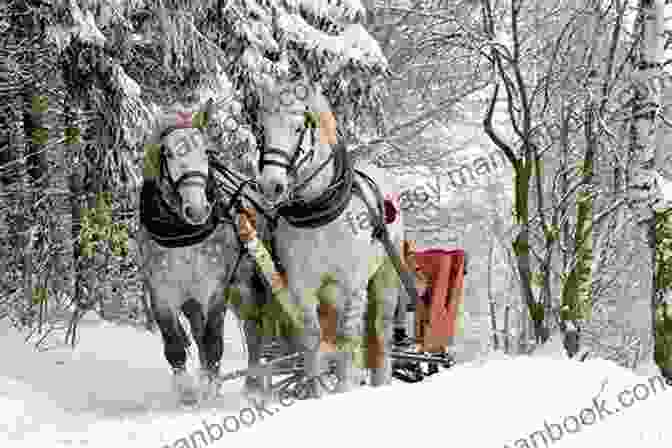 A Snow Covered Landscape With A Horse Drawn Sled Stopping By The Woods The Road Not Taken And Other Selected Poems