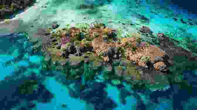 A Stunning Aerial Photograph Captures The Intricate Patterns And Vibrant Colors Of A Coral Reef, Showcasing The Breathtaking Beauty Of The Natural World From A Unique Aerial Perspective. Alternative Air Adventures Gene Moyers