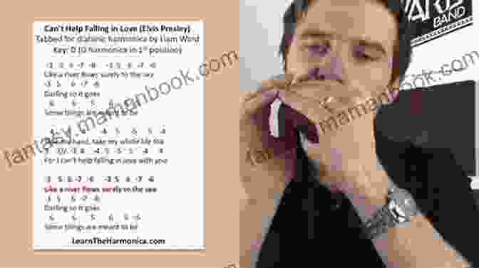Can't Help Falling In Love Harmonica Song Tabs 10 Popular Harmonica Songs For Beginners