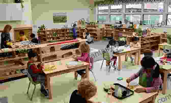 Children Engaged In Montessori Activities In A Public School Classroom Pelsaert S Nightmare: A Novel National Center For Montessori In The Public Sector