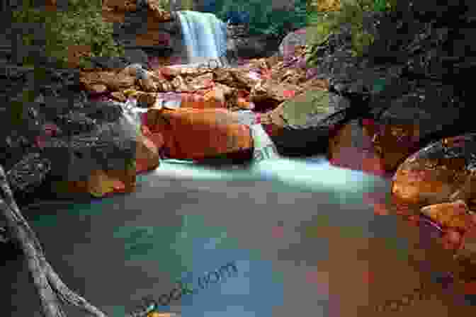 Long Exposure Photograph Of A Waterfall Thrasher S Fly Fishing Guide: An Essential Handbook For All Skill Levels